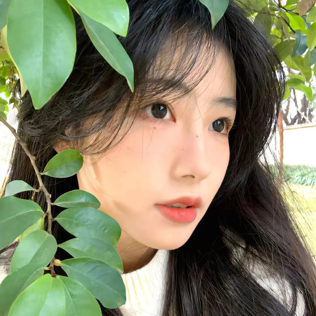 安娜·丽莎