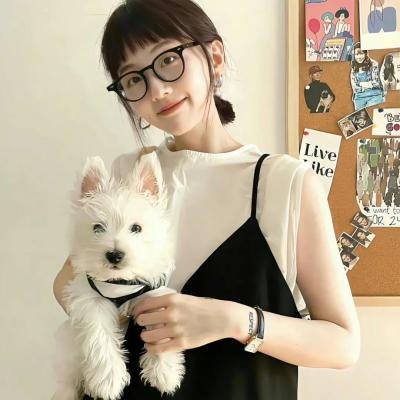 玫瑰的战争