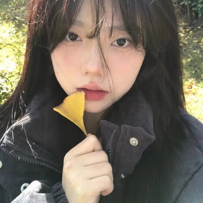 小说家电影