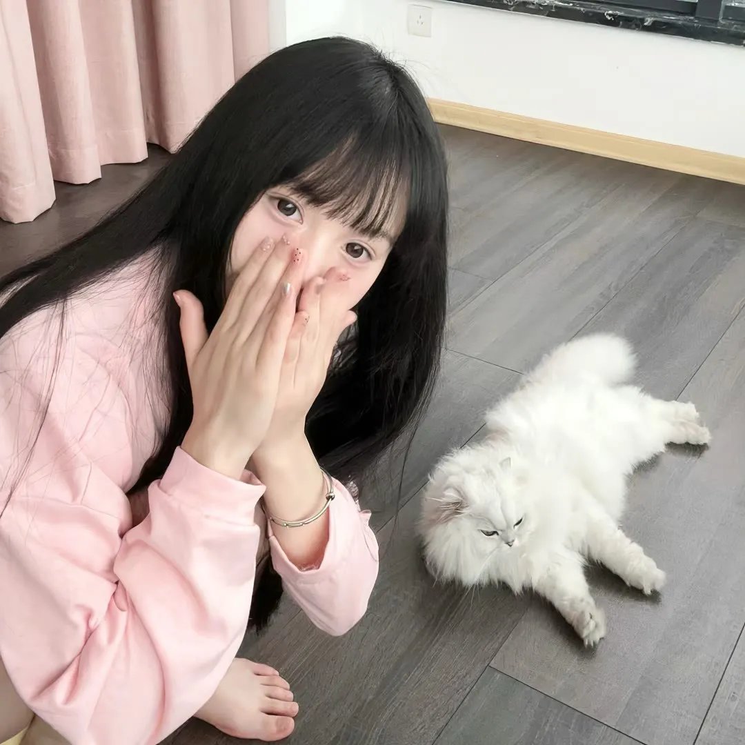 灰狐